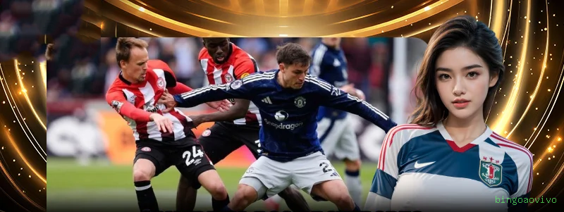 bingoaovivo Sem Taxa